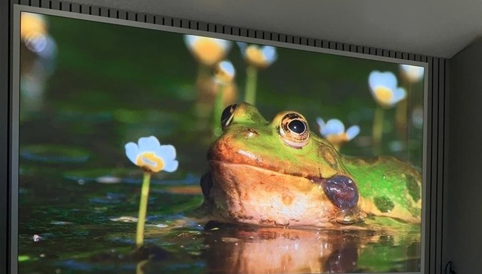 TMAX COB私人影院解决方案